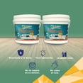 thumbnail image 3 of PINTEX Kit Pinta-me 2 Galones Pintura Vinil-Acrílica 3.8 L c/u | Incluye Brocha, Rodillo, Felpas, Masking Tape y Plastiprotector | Acabado Mate | Interiores y Exteriores | Verde Lago, 3 of 5