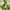A, variant on GFHFHITJ 6.5 Ft Garland Christmas Decorcorations,Christmas,Artificial Lemon Garland Spring Summer Faux Fruit Vine Garlands with Greenery for Door Wall Mantle Wedding Party Table Decorations