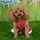 thumbnail image 4 of Invierno Navidad lindo perro rojo ropa falda para perros pequeños cachorro chaqueta ropa traje, 4 of 5