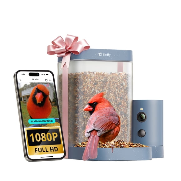 Birdfy Mangeoire Intelligente pour Oiseaux avec Caméra, Vidéo Fluide 60 Fps, Identification des Oiseaux par IA et Alertes Instantanées, Capture Automatique, Cadeau Parfait pour les Amoureux des Oiseaux