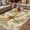 Brown, variant on Vintage Dragonfly Outdoor Rug for Patio/Deck/Porch, Non-Slip Large Area Rug 6 x 9 Ft, Vintage Brown Tree Branch Indoor Outdoor Rugs Washable Area Rugs, Reversible Camping Rug Carpet Runner