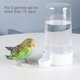 thumbnail image 4 of Comedero automático transparente para pájaros, estación de alimentación automática para pájaros, se puede colgar, comederos de gran capacidad, taza de alimentación, alimentador de agua, 4 of 8