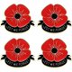 thumbnail image 1 of 4 PC Women Poppy Brooches Red Flower Lapel Pins Girls Breastpin Remembrance Memorial Veterans Day Gift Lest We Forget, 1 of 5