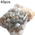 thumbnail image 5 of SPRING PARK Approx 40 Pcs Miniature Dollhouse Sea Shell Bonsai Lanscape DIY Decor, 5 of 6