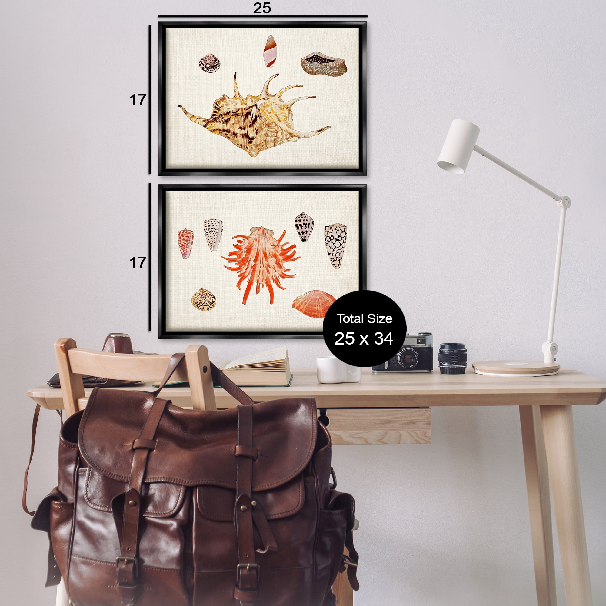 Stupell Industries Antique Shell Anthology Nautical & Beach Painting Black Floater Framed Canvas Art Print Wall Art, 25 x 17, Set of 2