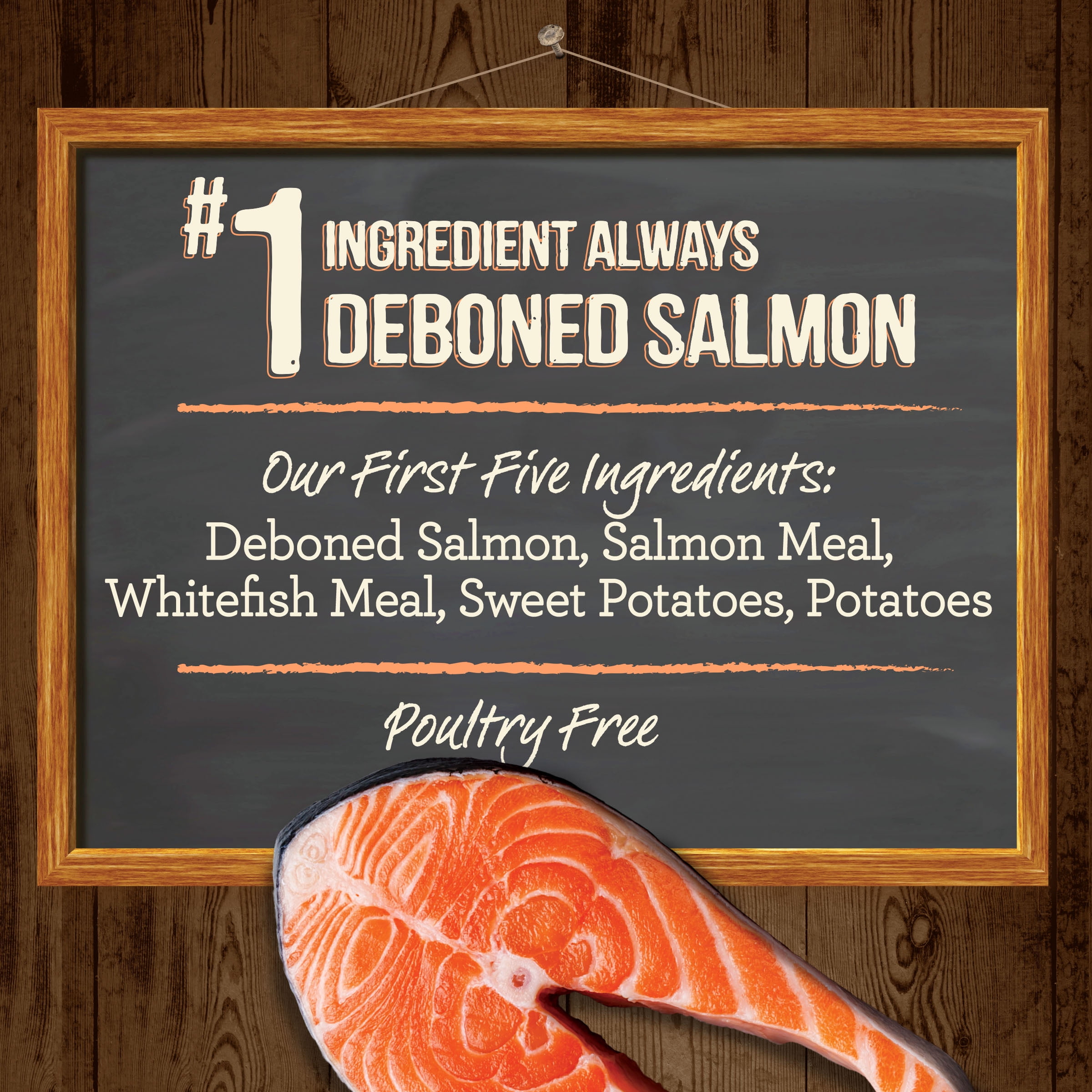 Merrick salmon dog best sale food