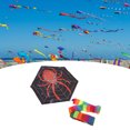 thumbnail image 3 of M Buder Cometa Hexagonal De Araña Para Exteriores Juguete Equilibrado Para Niños Voladores Dibujos Animados Araña Roja Divertido Jardín Playa Parque Vacaciones, 3 of 9