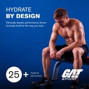 GAT SPORT FLEXX EAAs, Blue Razz, 12.5 oz (30 Servings)
