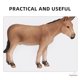 thumbnail image 4 of 2 piezas de modelo de burro de escritorio, decoración de burro de pie, juguete de animal de granja, modelo de burro, 4 of 8
