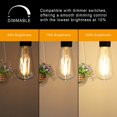 thumbnail image 3 of Bombillas LED Ascher Regulables Vintage Edison de 6 W (paquete de 6), 3 of 9