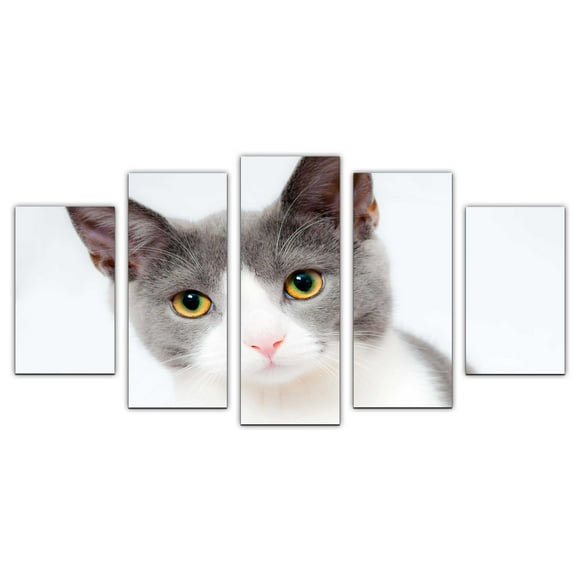 Cuadro decorativo para Sala, Comedor y Recamara, Gato, Animales, minimalista, moderno, elegante, juego de 5 piezas