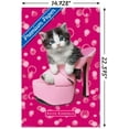 thumbnail image 3 of Keith Kimberlin - Kitten - Shoe Wall Poster, 14.725" x 22.375", 3 of 3