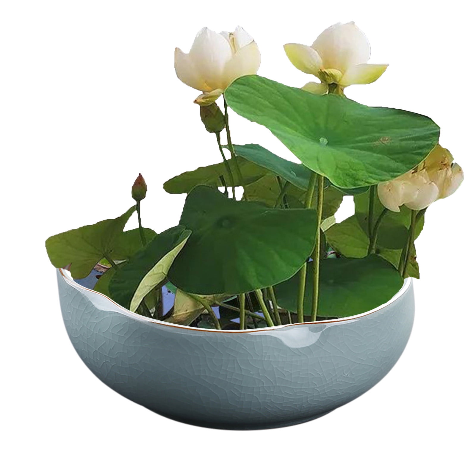 Ceramic Bowl Planter for Indoor Hydroponic Succulent Gardening Decorative Flower Pot