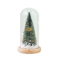 thumbnail image 1 of Decoración de regalo de Navidad Cubierta de vidrio Accesorios de regalo de cumpleaños Adornos de árbol de Navidad creativos luminosos Wmkox8yii gf7320, 1 of 1