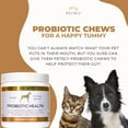 thumbnail image 5 of PET SCY Probiotic Health Chews - Probiotics for Dogs for Digestive Support - 5.3oz, 3 Pack, 5 of 7
