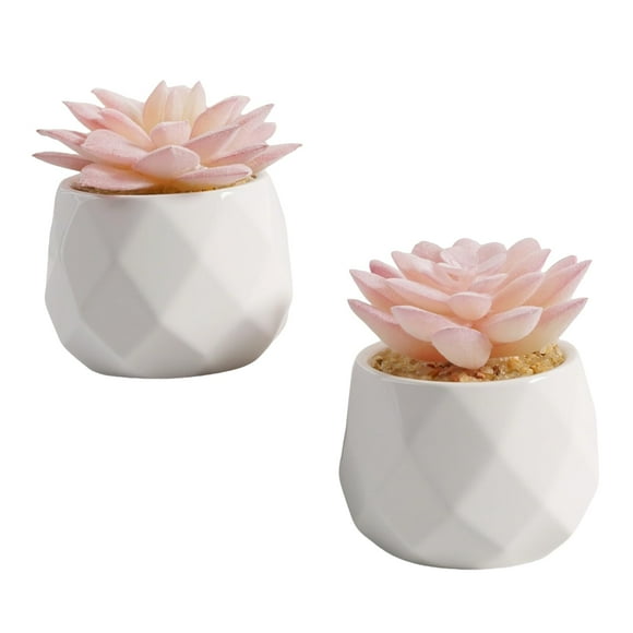 Plantas suculentas artificiales VIVERIE Mini Rose Pink, juego de 2