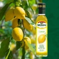thumbnail image 4 of Monini: Oil Olive Extravirgin Lemon, 8.5 Oz, 4 of 6