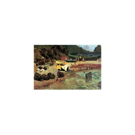 DDI Animals in Case 3 Assorted- Case of 12