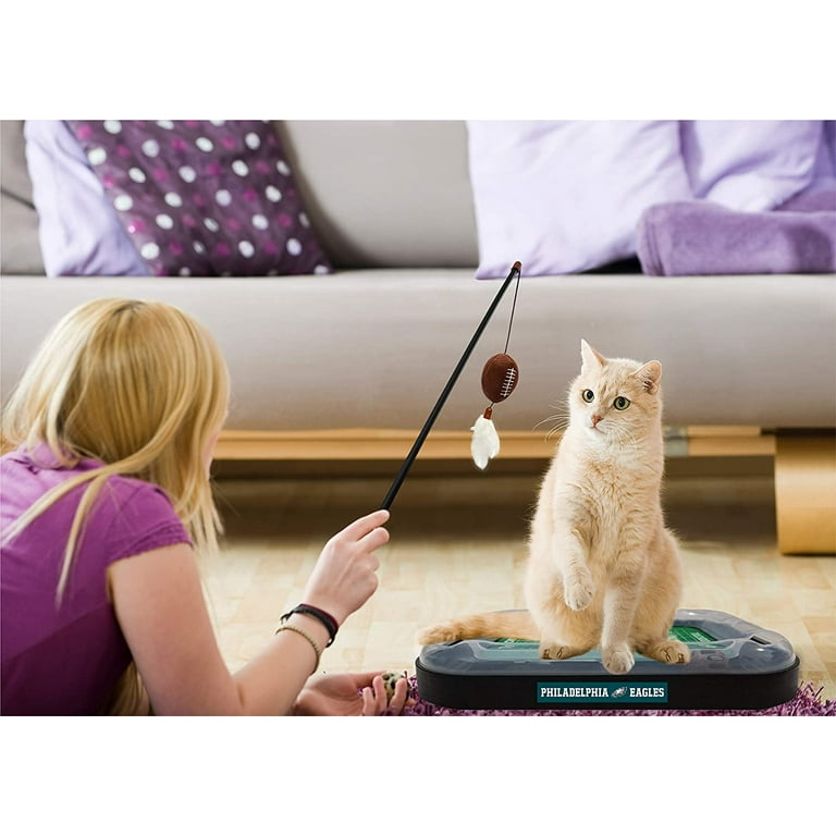 Pets First NFL Philadelphia Eagles Cat Scratcher Toy with Catnip