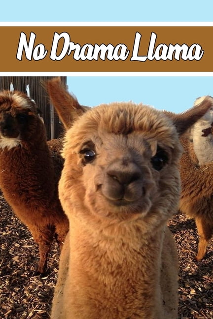 No Drama Llama (Paperback) - Walmart.com