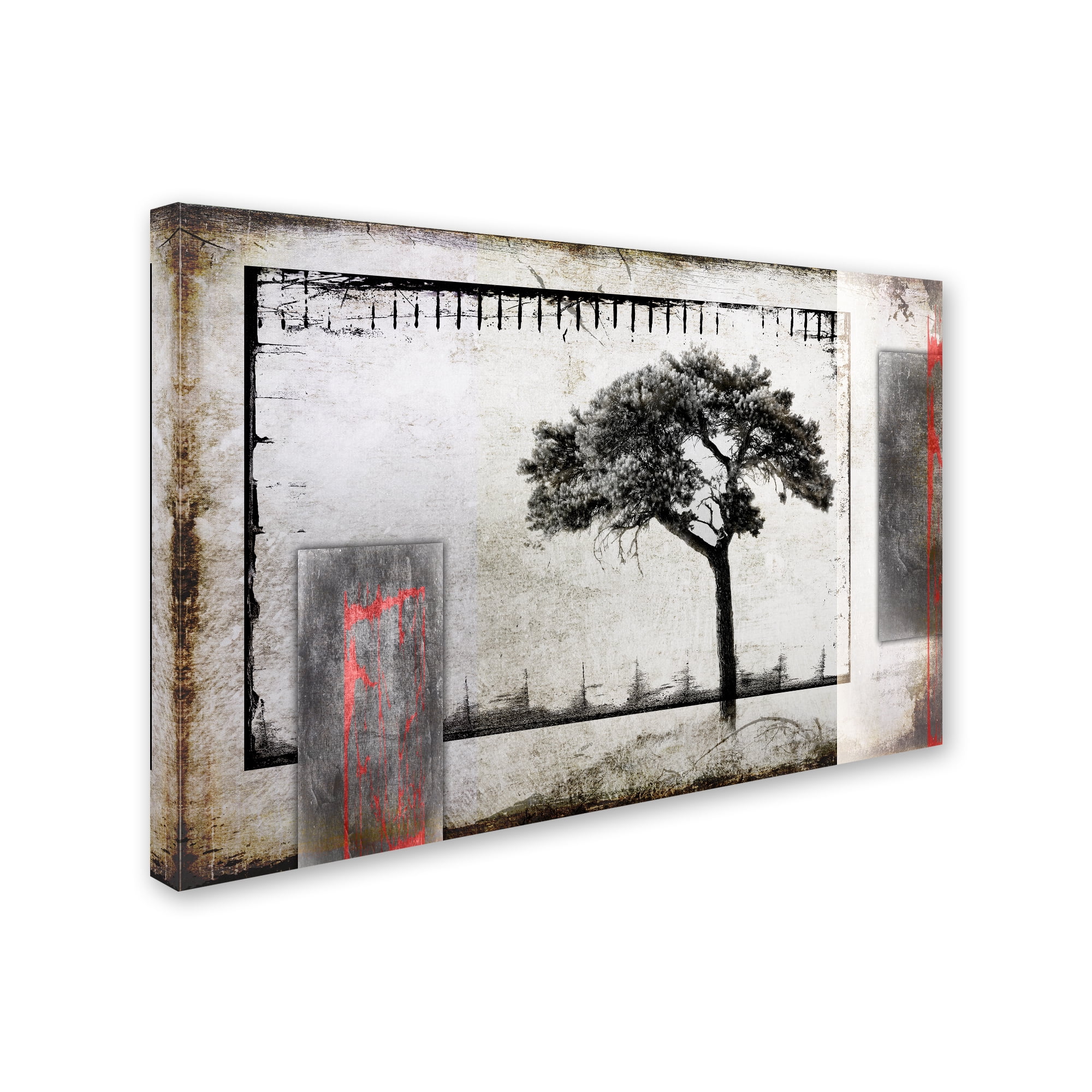 Trademark Fine Art 'July Tree 3' Canvas Art by LightBoxJournal