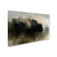 thumbnail image 3 of Trademark Fine Art Jai Johnson Abstract American Bison Canvas Wall Art - 12x19, 3 of 4