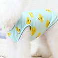 thumbnail image 2 of CSChome Pet Vest Round Neck Adorable Comfortable Soft Sleeveless Cartoon Printing Dog Vest Daily Wear, 2 of 6
