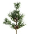 thumbnail image 2 of Northlight 24" Frosted Long Pine Needle and Pine Cone Artificial Christmas Spray, 2 of 3