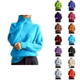 thumbnail image 1 of Pulls à Col Roulé pour Femmes 2026 Automne Hiver Tendance Manches Longues Tricot Uni, 1 of 4