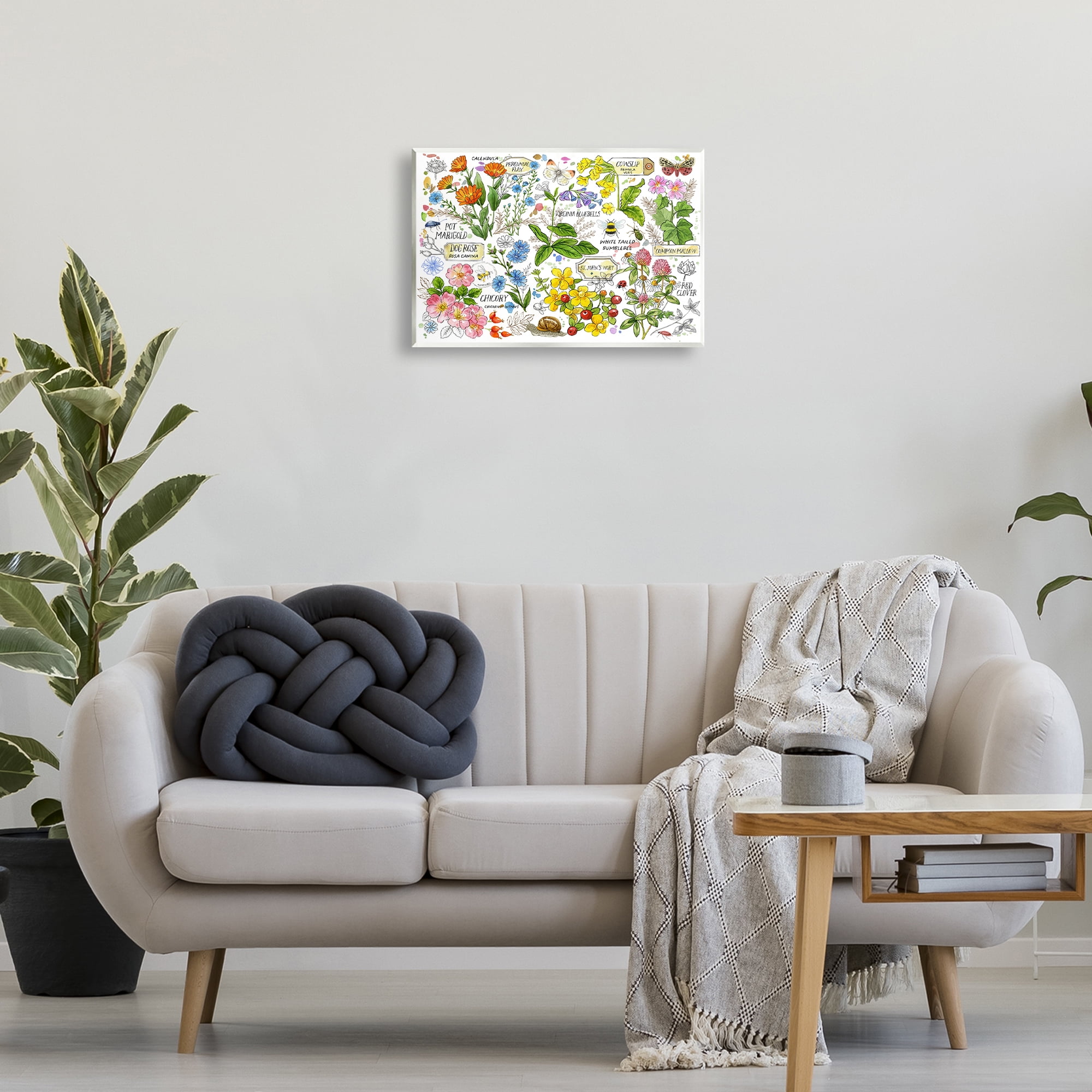Stupell Industries Various Herbs Benefits Botanical & Floral Painting Unframed Art Print Wall Art, 19 x 13