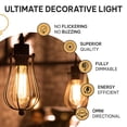 thumbnail image 4 of Bombillas incandescentes Hudson Bulb Co. Vintage, 6 W, 2100 K, paquete de 4, 4 of 9