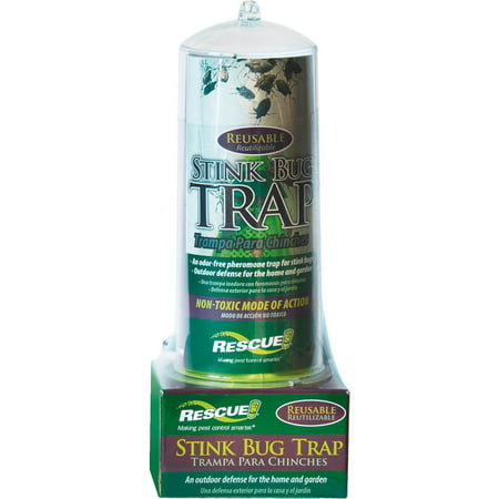 Rescue Stink Bug Trap (Best Brown Recluse Spider Traps)