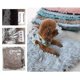 thumbnail image 4 of 2026 Pet Fleece Blanket Fluffy Dog Cat Blanket, 4 of 5