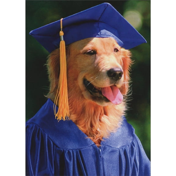 Avanti Press Golden Retriever Graduate Wearing Blue Cap and Gown Graduation Card