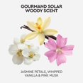 thumbnail image 4 of Bruma corporal Sunscreen Tanologist SPF 30 Super Shield, 177 ml, 4 of 7