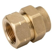 HomeFlex 11-435-007 3/4-Inch Brass Corrugated Stainless Steel Tubing x FIPT Female Adapter