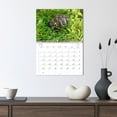 thumbnail image 3 of The life of the turtle (Monthly Wall Calendar 2026 11.7 x 16.5 (open)), CALVENDO 14 Month Calendar, 3 of 9