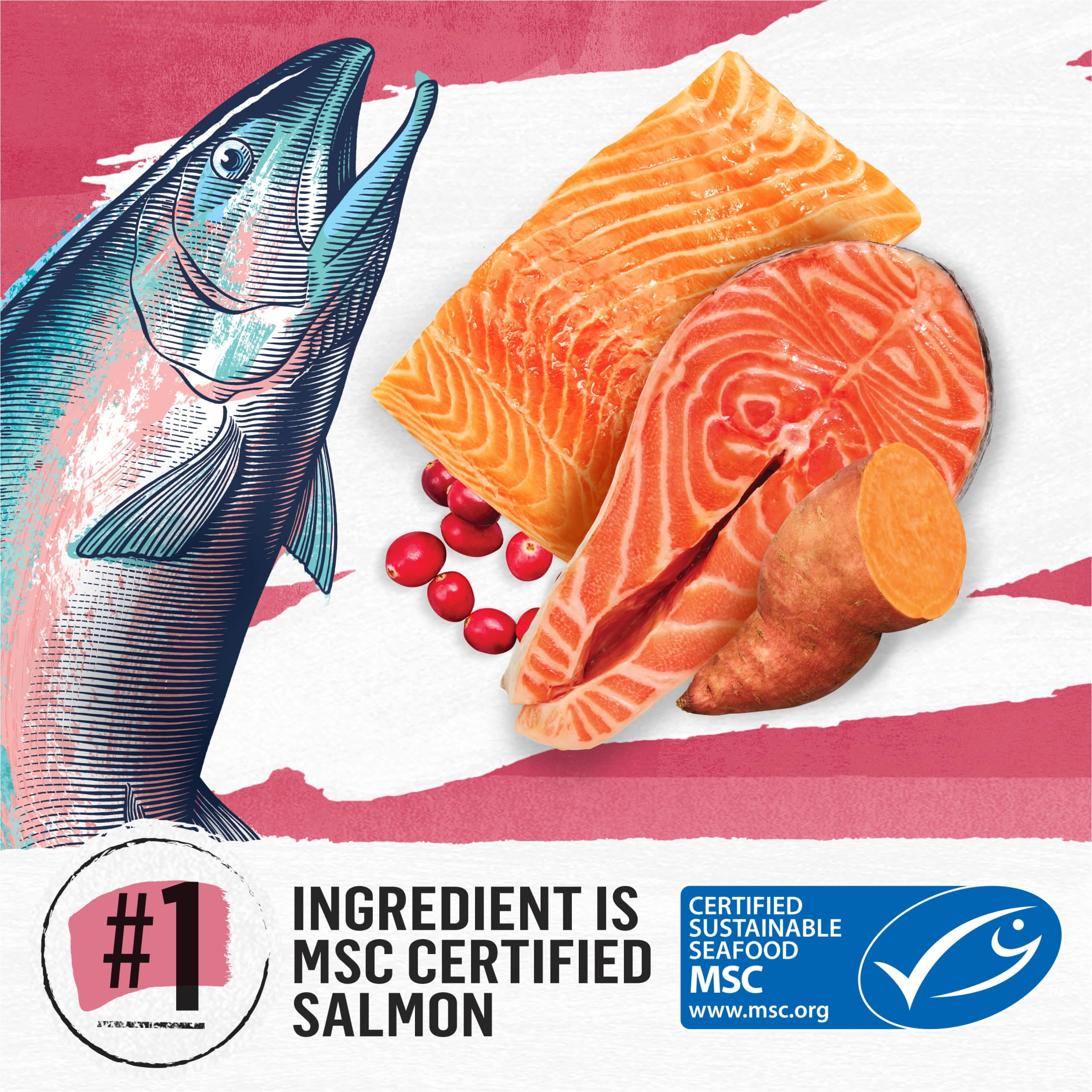 Purina Beyond Wholesome Ingredients Indoor Dry Cat Food Salmon, Egg, & Sweet Potato, 3 lb Bag