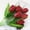 B, variant on Silk Plants Flower Bush UV Resistant Flexible Stems for Vase Decoration - Red