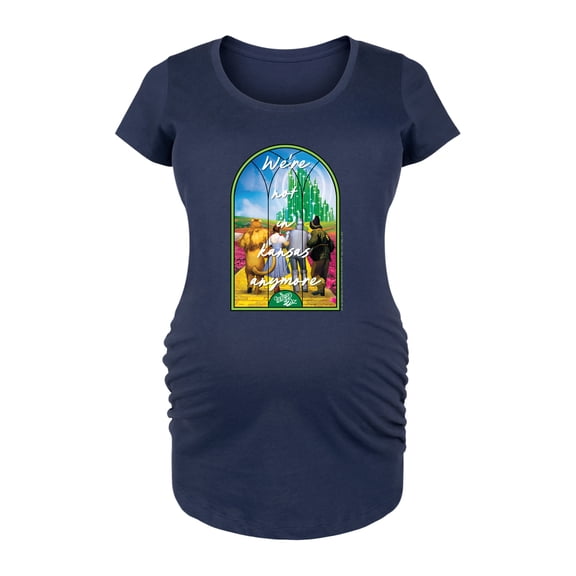 Wizard of Oz - Stained Glass - Women's Maternity Scoop Neck Graphic T-Shirt