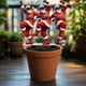 thumbnail image 4 of Utilice Paneles Decorativos Acrílicos Para Decorar Sus Rincones En Navidad Y Realzar El Ambiente Festivo., 4 of 8