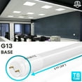 thumbnail image 7 of Luxrite 12-Pack 2FT T8 LED Tube Light, Type A+B, 8W=17W, 3 Colors 3500K 4000K 5000K, Single and Double End Powered, Plug and Play or Ballast Bypass, 960 Lumens, F17T8, Frosted Cover, UL, DLC, 7 of 7