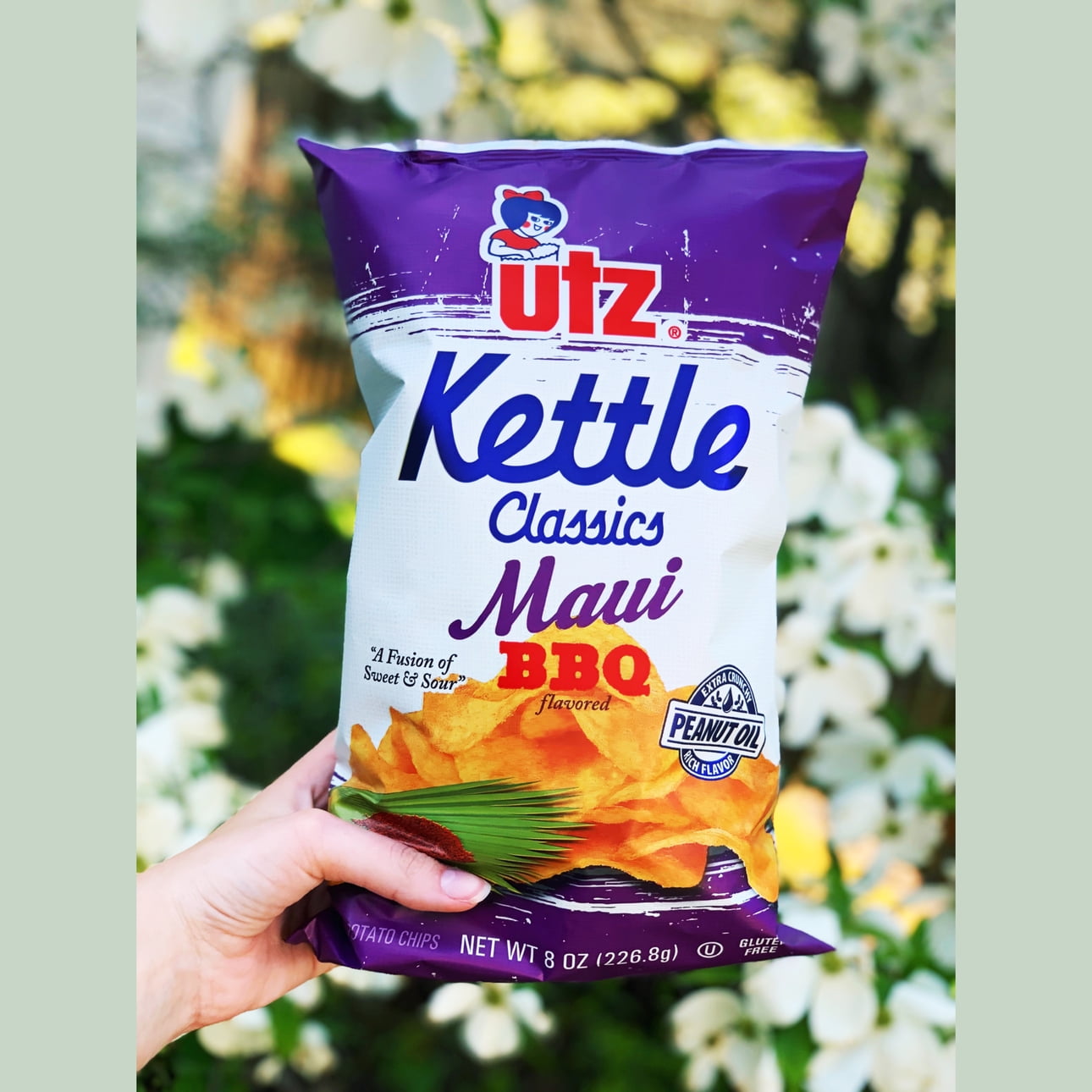utz bbq kettle chips