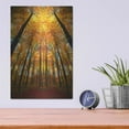 thumbnail image 4 of Luxe Metal Art 'Beginning of Autumn' by Philippe Sainte-Laudy, Metal Wall Art, 12"x16", 4 of 9