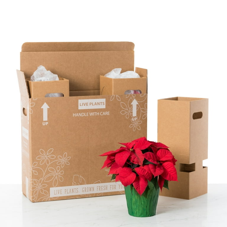 Blue Poinsettia Holiday Gift Bag Blue Poinsettia Holiday Gift Bag