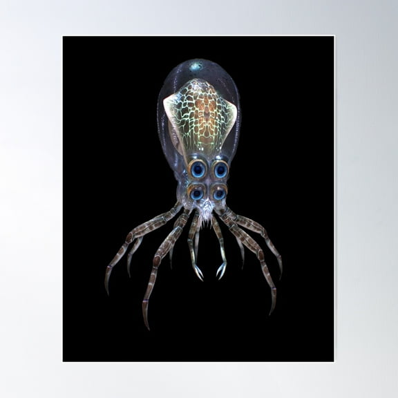 Subnautica - Crabsquid Poster Wall Art, Modern Wall Decor For Living Room Bedroom, 12x18 UNFRAMED