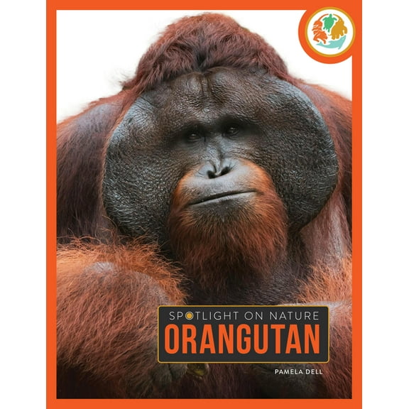 Orangutan, (Paperback)