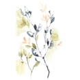thumbnail image 2 of Goldberger, Jennifer 16x24 White Modern Wood Framed Museum Art Print Titled - Sweet Leaves I, 2 of 4