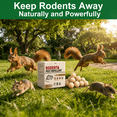 thumbnail image 5 of Natural Mice & Rat Deterrent‌ for Indoor/Outdoor Use -72 Packs, Peppermint Oil Moth Balls for RodentsRepellent, Family & Pet-Safe, Long-Lasting Mouse Control for Squirrels, Skunks, Chipmunks‌, 5 of 6