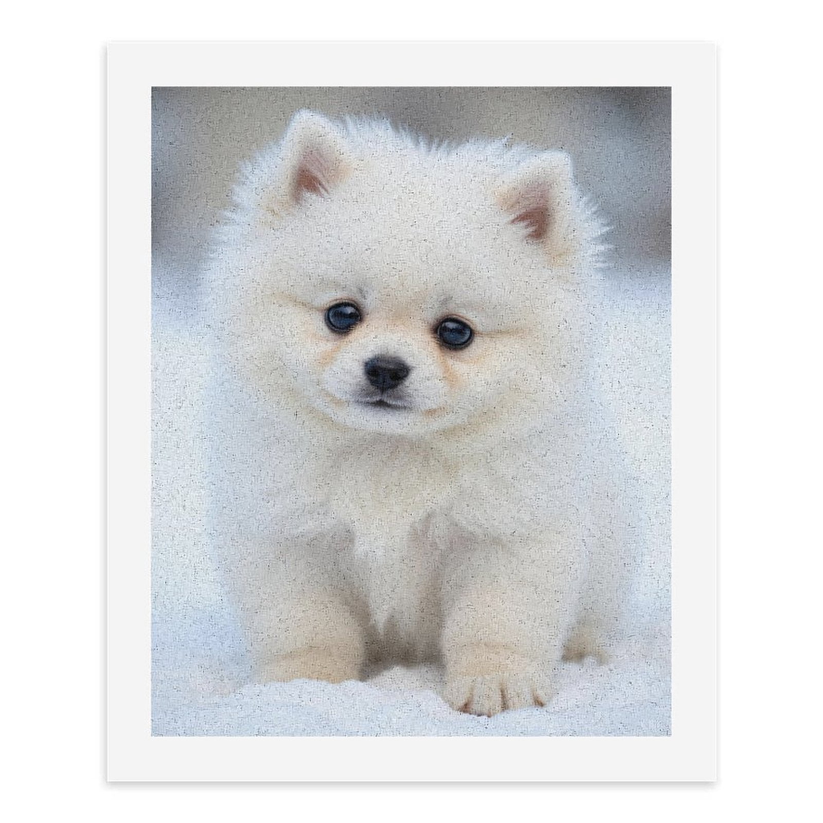 Paint by Numbers Kit for Adults, White Pomeranian Puppy Snowy Day Paint by Numbers, Easy Paint by Numbers Kit for Adults Beginner, DIY Adult Paint by Number Kits on Canvas, Home Decor